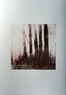 Waldbaden I_Lithografie_b 50 x h 70 cm
