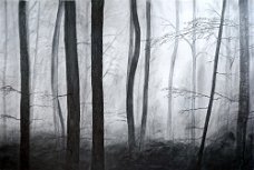 Waldbaden VI_Graphit auf Papier_b 70x h 50 cm